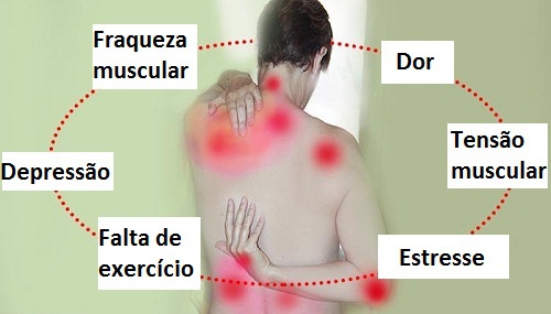 circulo vicioso fibromialgia